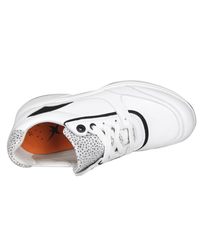 Xsensible 30229 Andorra