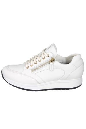 Durea Stabilized Roll System 6322 604 2029