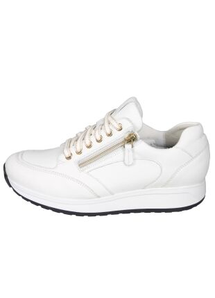 Durea Stabilized Roll System 6322.2029