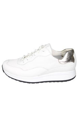 Durea Stabilized Roll System 6319 608 2120