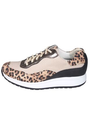 Durea Stabilized Roll System 6319.2079