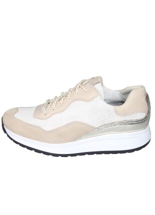 Durea Stabilized Roll System 6319.2047