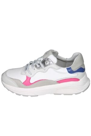 Xsensible Next Generation 33011 Rainbow