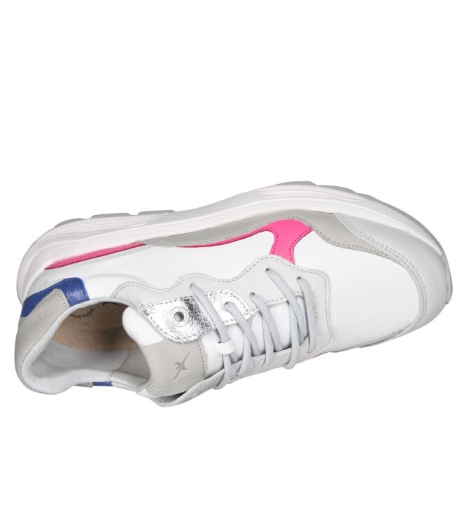 Xsensible 33011 Rainbow