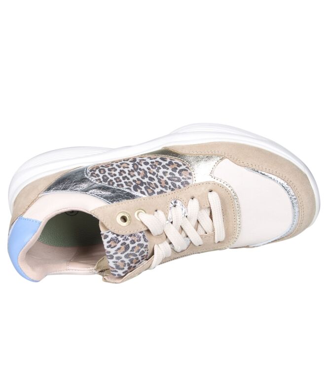 Xsensible 32009 Swx27