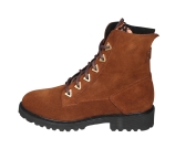 Kleur Cognac