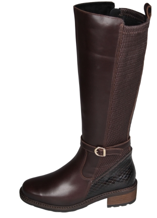 Solidus 61016 Kinga