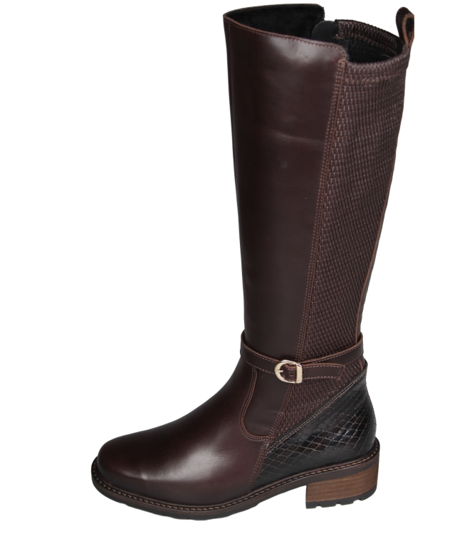 Solidus 61016 Kinga