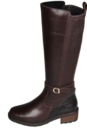 Solidus 61016 Kinga
