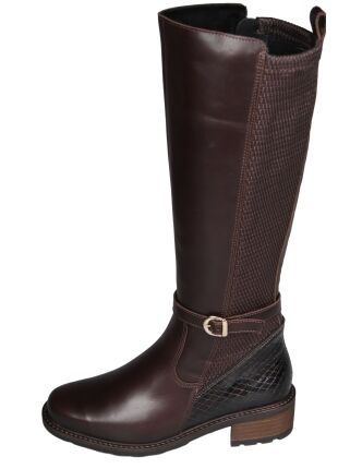 Solidus 61016 Kinga