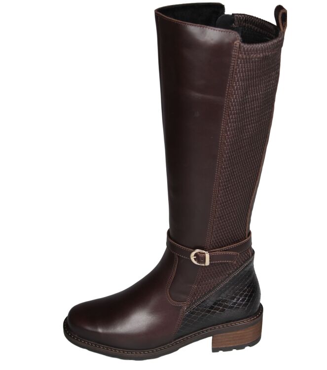 Solidus 61016 Kinga