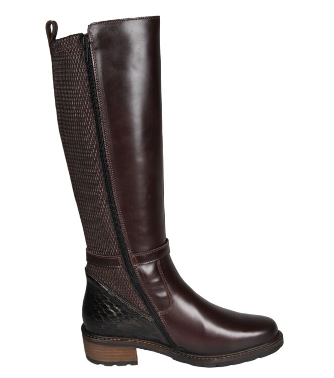 Solidus 61016 Kinga